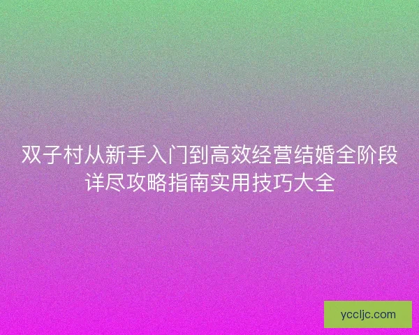 双子村从新手入门到高效经营结婚全阶段详尽攻略指南实用技巧大全