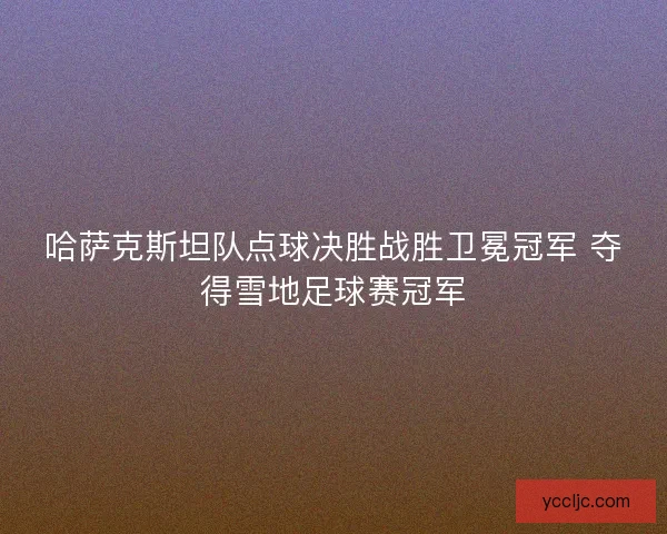 哈萨克斯坦队点球决胜战胜卫冕冠军 夺得雪地足球赛冠军
