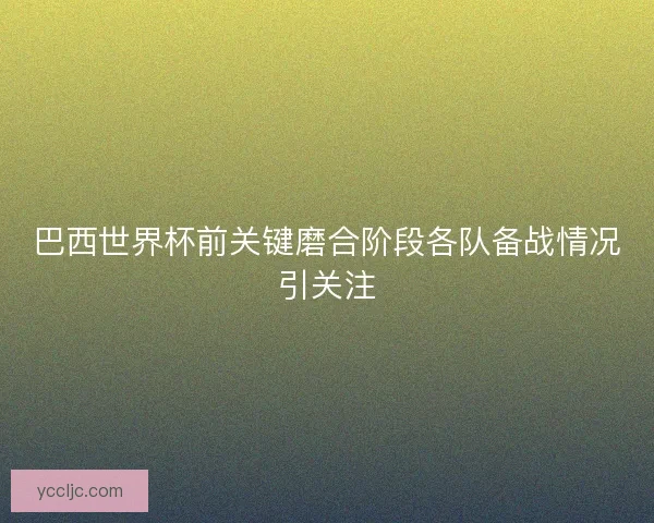 巴西世界杯前关键磨合阶段各队备战情况引关注