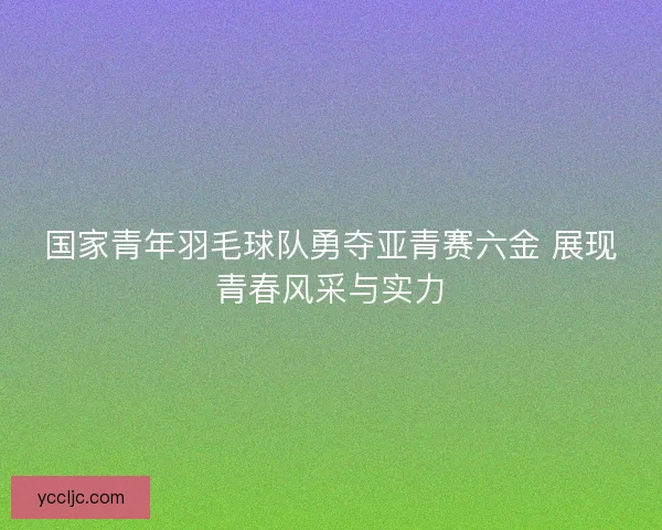 国家青年羽毛球队勇夺亚青赛六金 展现青春风采与实力